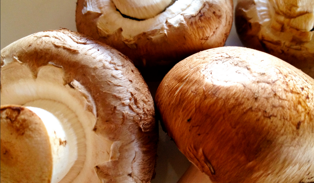 Cell phone batteries charging mushrooms